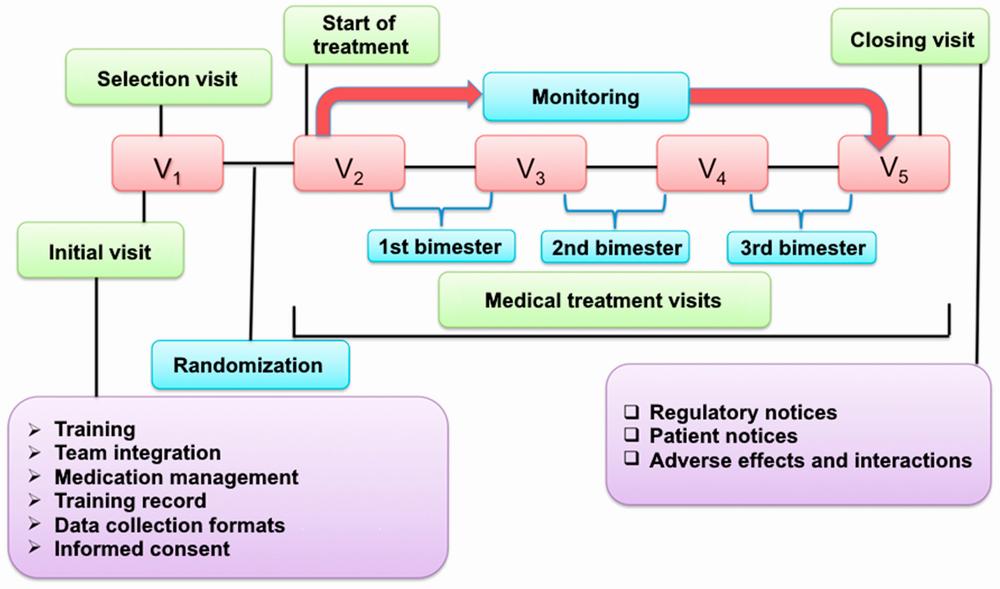 A flowchart of the patient journey through the trial, including the initial visit, selection visit, and monitoring visits.