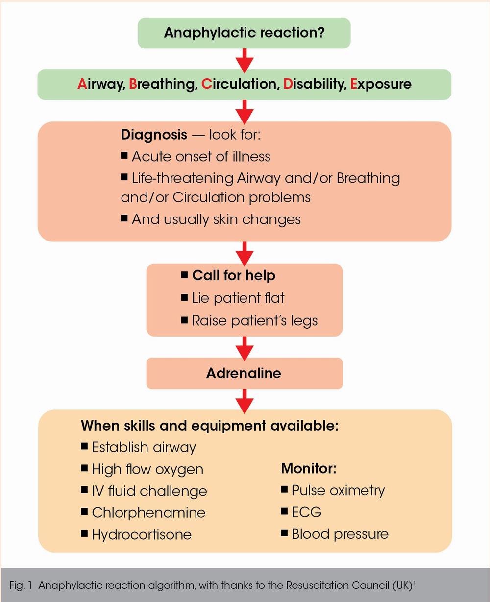 A medical algorithm for recognizing and treating anaphylactic reactions.