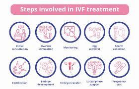 A flowchart of the steps involved in in-vitro fertilization (IVF) treatment.