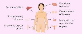 A diagram showing the effects of estrogen on a female body.