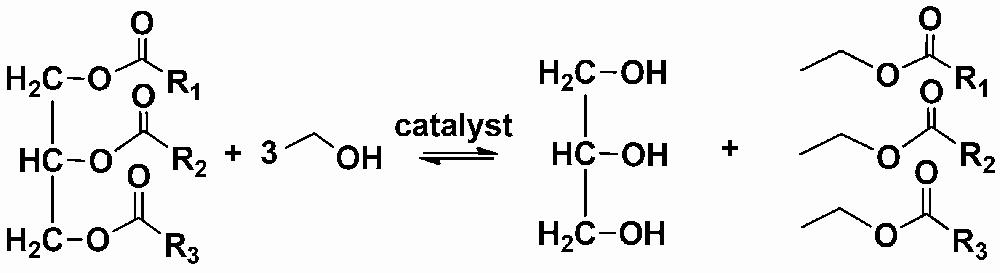 The image shows a chemical reaction where a triglyceride reacts with three equivalents of water to form glycerol and three fatty acids, with the help of a catalyst.