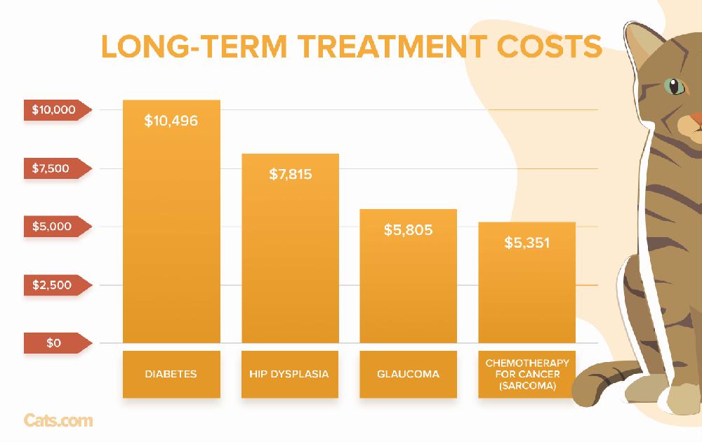 A bar graph showing the long-term treatment costs for cats, with diabetes being the most expensive, followed by hip dysplasia, glaucoma, and chemotherapy for cancer.