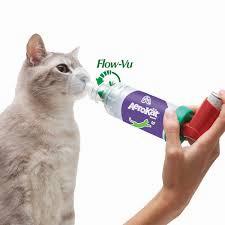 A cat is receiving medication from an inhaler device held by a veterinarian.