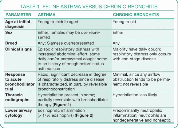 A table comparing the parameters of feline asthma and chronic bronchitis.