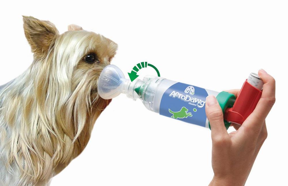 A dog is receiving an asthma treatment through an inhaler.