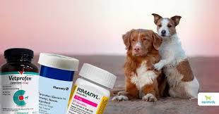 Two dogs, one brown and one white, are standing next to each other with their front paws on a white surface with three bottles of medication behind them.