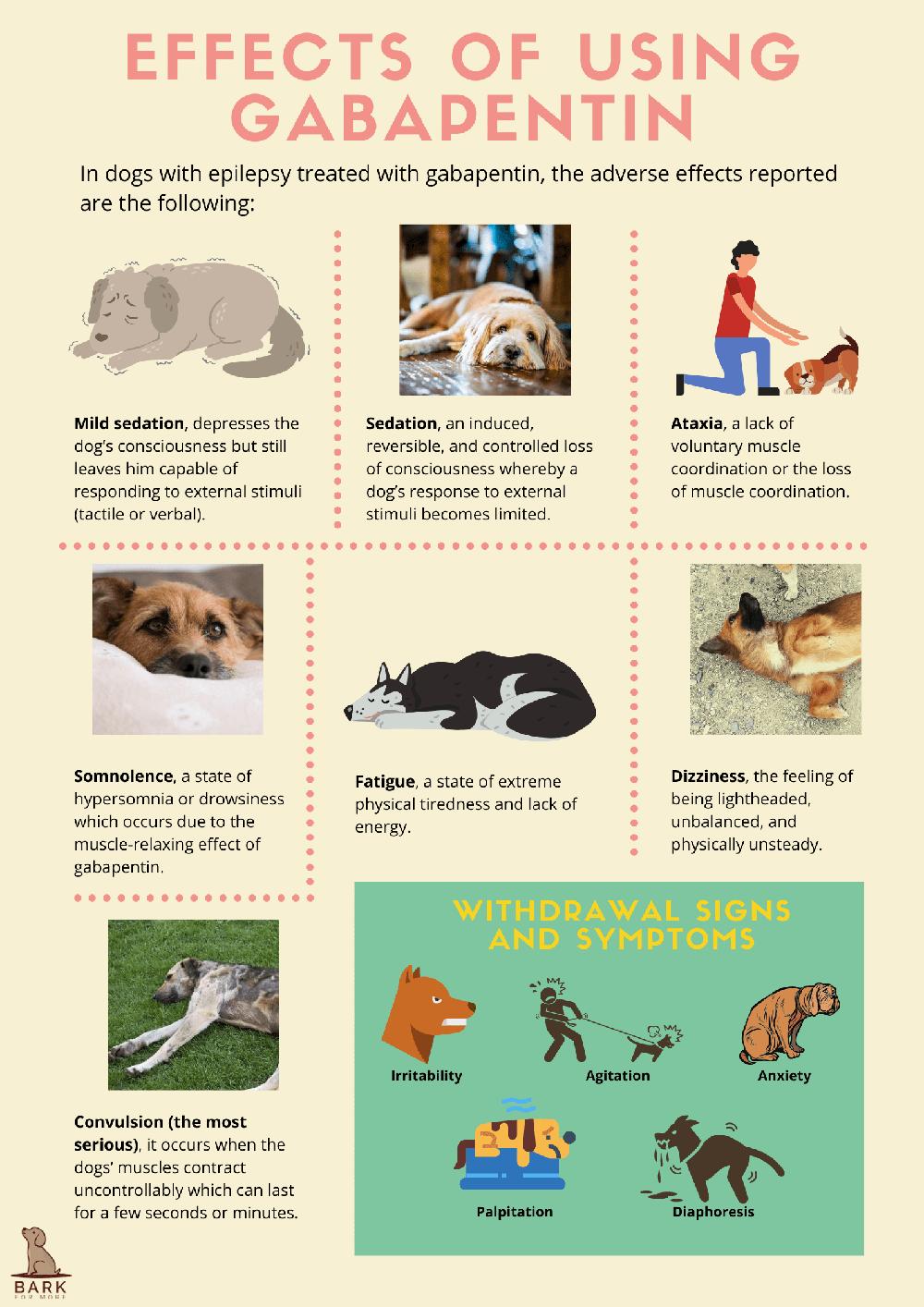 This chart shows the effects of using Gabapentin in dogs, including mild sedation, ataxia, somnolence, fatigue, dizziness, and more serious side effects such as convulsions, irritability, agitation, anxiety, palpitation, and diaphoresis.