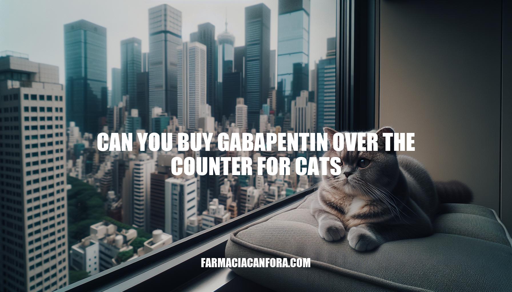Can You Buy Gabapentin Over the Counter for Cats: Regulations and Considerations