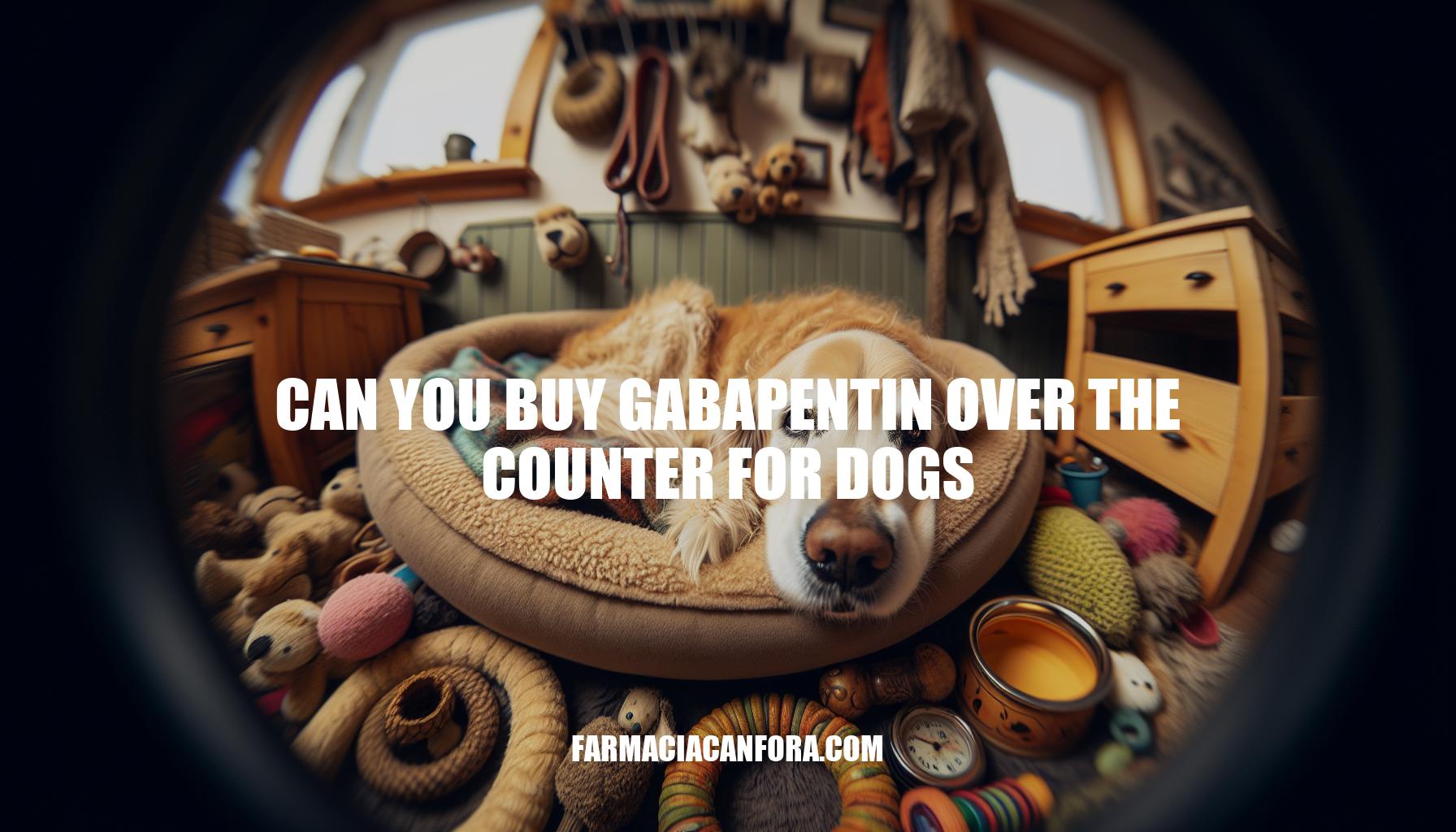 Can You Buy Gabapentin Over the Counter for Dogs: A Comprehensive Guide