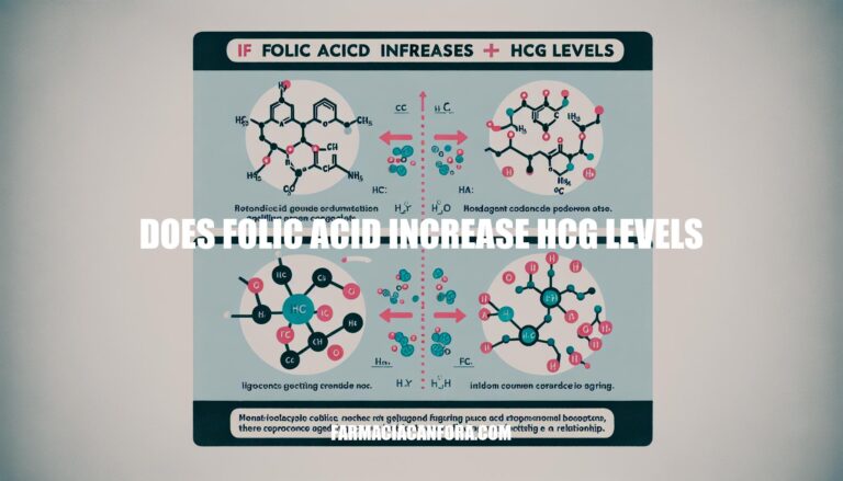 Does Folic Acid Increase hCG Levels: The Facts