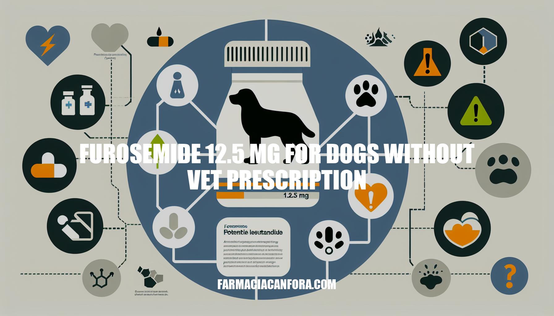 Furosemide 12.5 mg for Dogs Without Vet Prescription: Risks and Alternatives