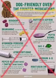 A list of over-the-counter medications that are safe for dogs.