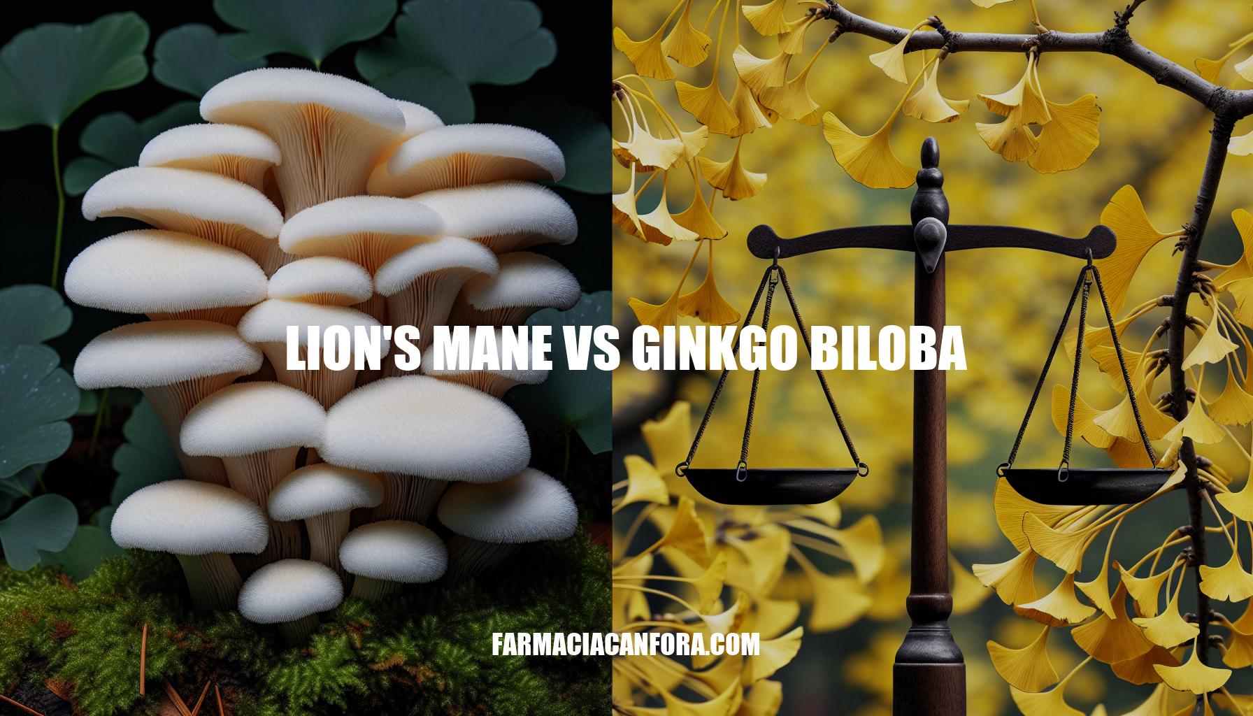 Lion's Mane vs Ginkgo Biloba: A Comparative Analysis