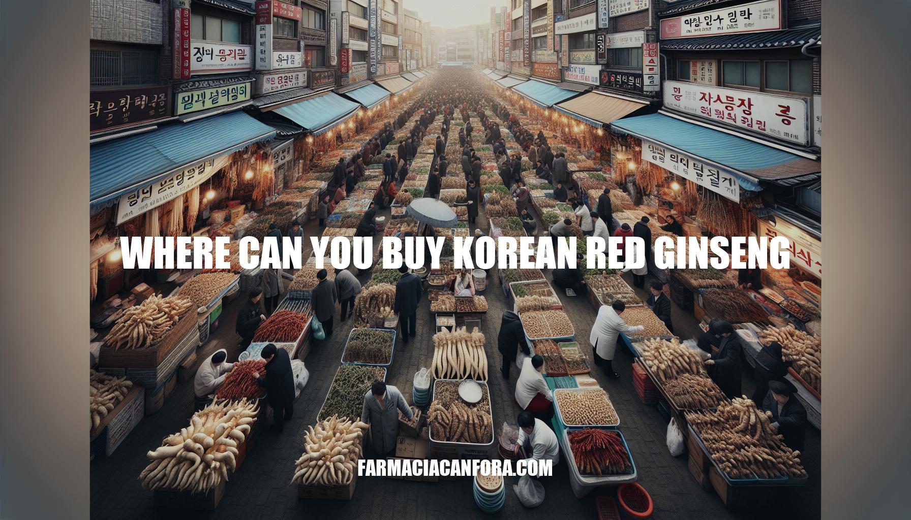 Where Can You Buy Korean Red Ginseng - Best Places to Purchase