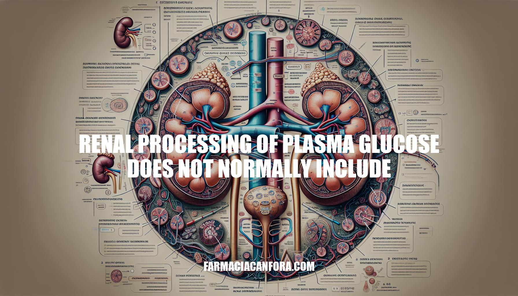 Renal Processing Of Plasma Glucose Does Not Normally Include