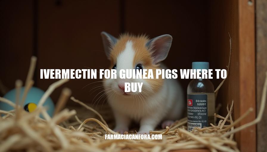 Ivermectin for Guinea Pigs: Where to Buy and Purchase Options