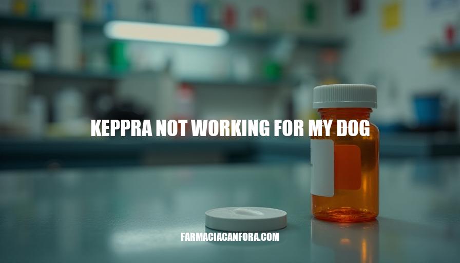 Keppra Not Working for My Dog: Causes, Signs & Alternative Treatments