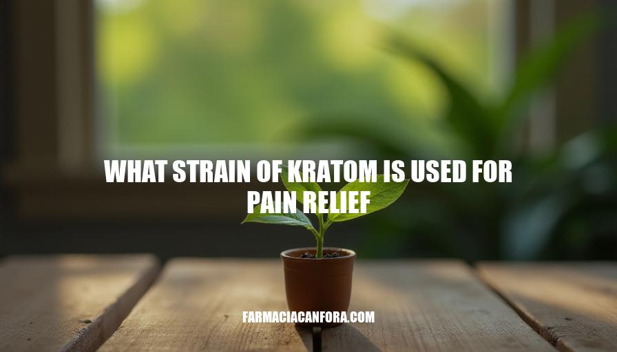 Kratom Strains for Pain Relief: A Comprehensive Guide