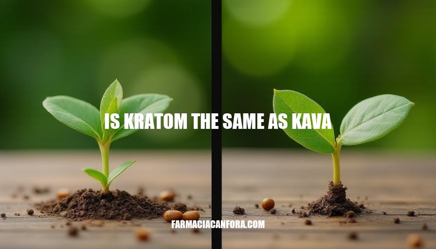 Kratom vs Kava: Understanding the Key Differences