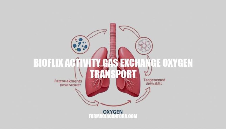 BioFlix Activity: Gas Exchange & Oxygen Transport Explained