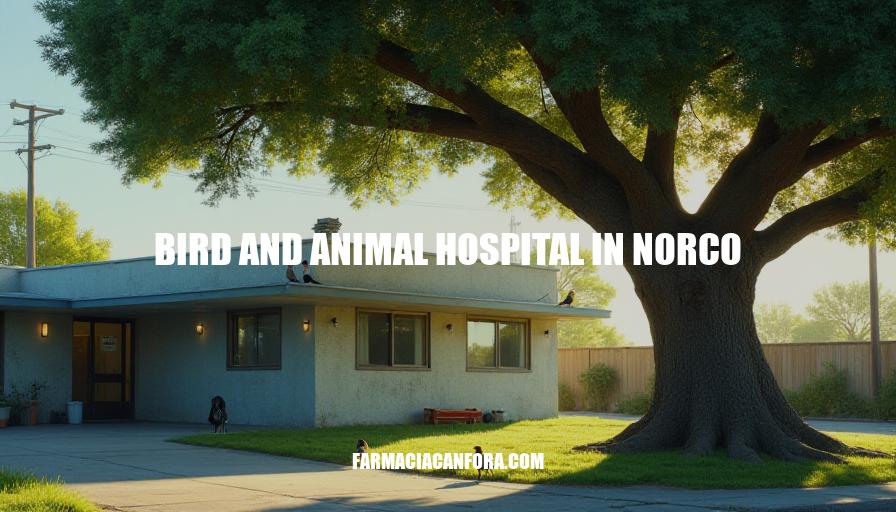 Bird and Animal Hospital in Norco - Expert Care for Your Pets