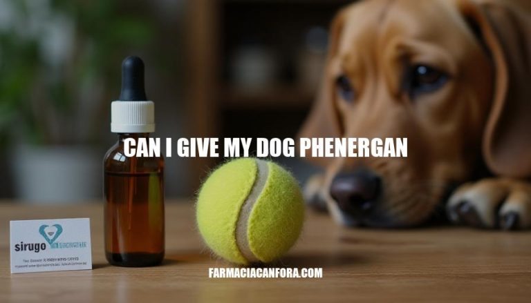 Can I Give My Dog Phenergan? Safety Precautions and Risks