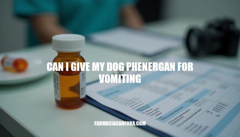 Can I Give My Dog Phenergan for Vomiting? Safety and Risks Explained