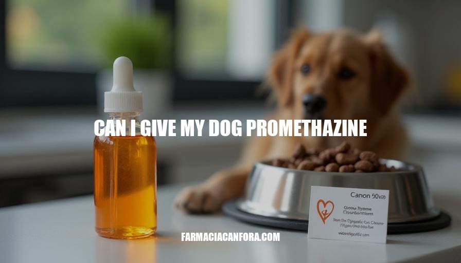 Can I Give My Dog Promethazine Safely?