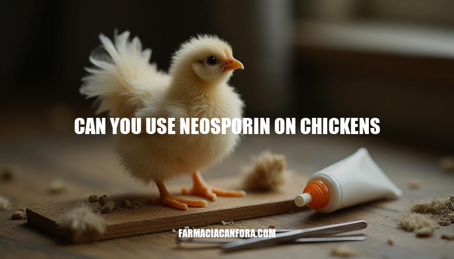 Can You Use Neosporin on Chickens? A Guide to Safe Application