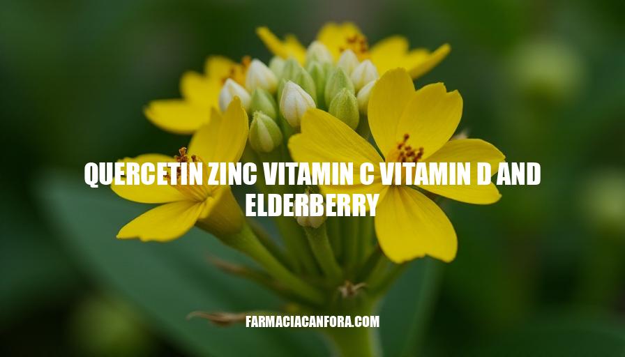 Quercetin Zinc Vitamin C Vitamin D & Elderberry Benefits for Immune System