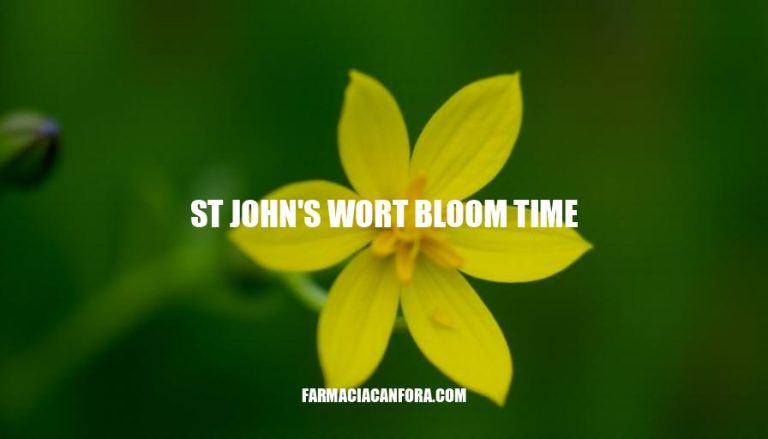 St John's Wort Bloom Time: A Comprehensive Guide