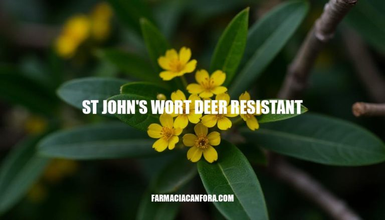 St John's Wort Deer Resistant Plants