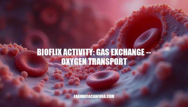 Understanding BioFlix Activity: Gas Exchange & Oxygen Transport