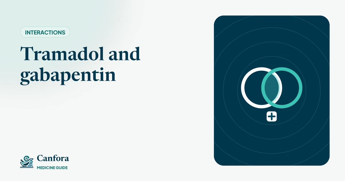 Illustration: Tramadol and gabapentin – Canfora Medicine Guide