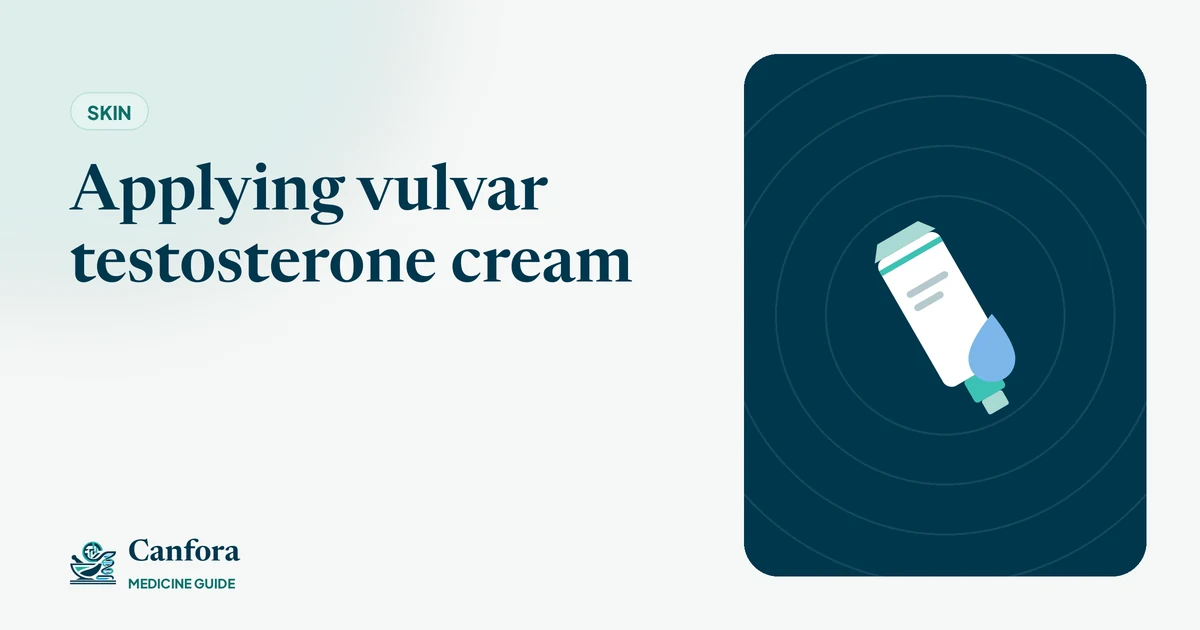 Illustration: Applying vulvar testosterone cream – Canfora Medicine Guide