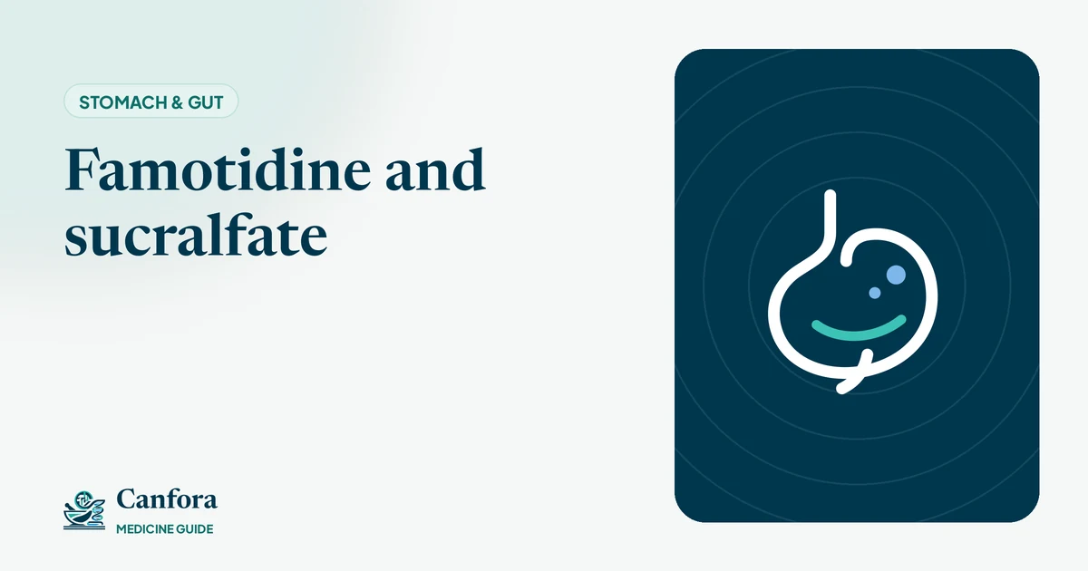 Illustration: Famotidine and sucralfate – Canfora Medicine Guide
